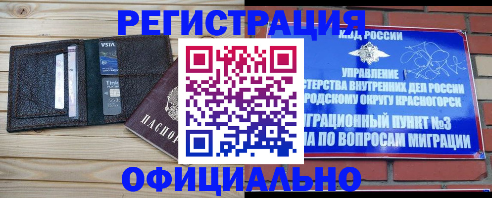 купить прописку в Курской области